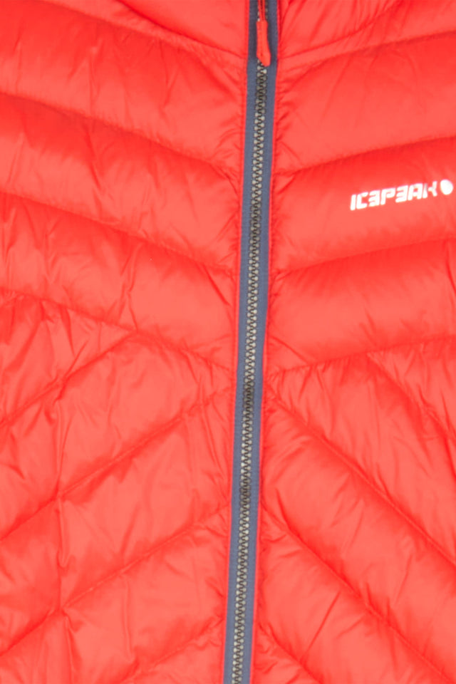 detail