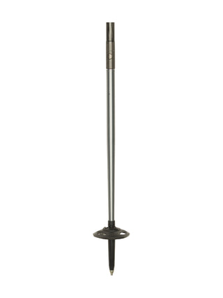 Stöcke Carbon 