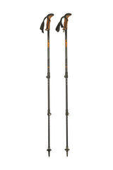 Stöcke Carbon 