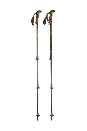Stöcke Carbon 