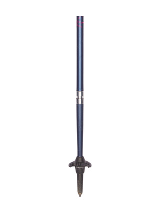Stöcke Carbon 