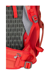 Daypack 21 bis 35 L