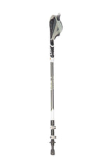Stöcke Carbon