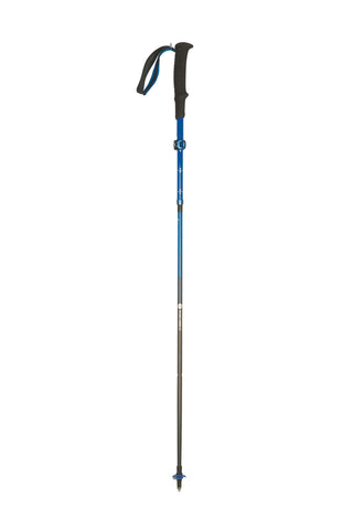 Stöcke Carbon 
