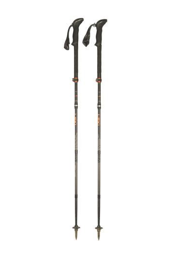 Stöcke Carbon 