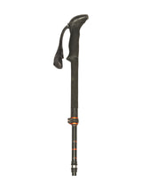 Stöcke Carbon 