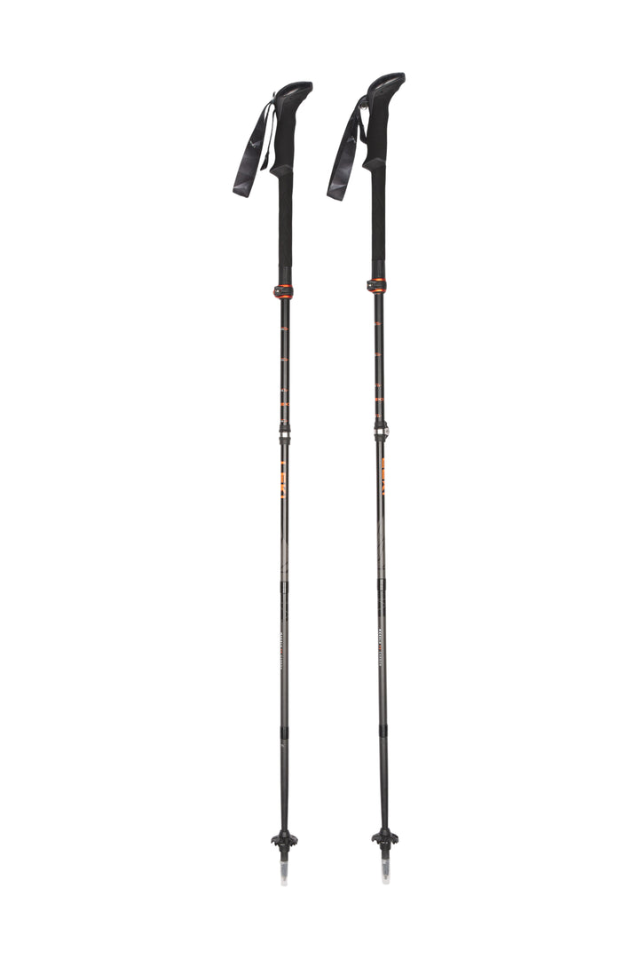 Stöcke Carbon 