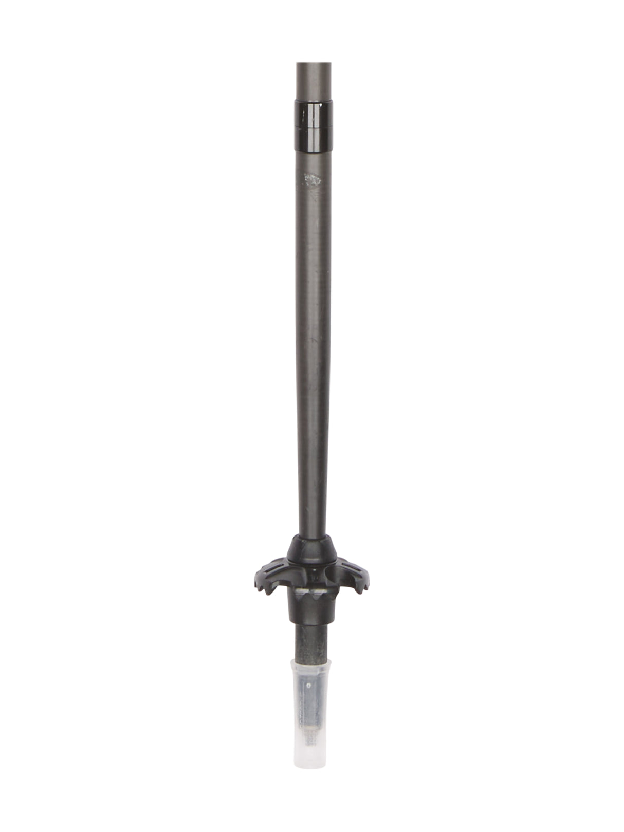 Stöcke Carbon 