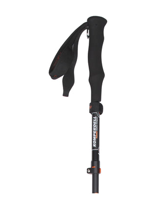 Stöcke Carbon 