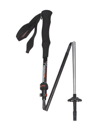 Stöcke Carbon 