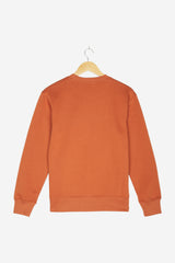 Pullover für Herren