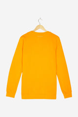 Pullover für Herren