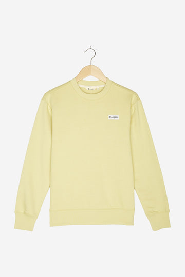 Pullover für Herren